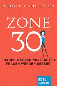 Zone 30 - Birgit Schlieper - E-Book