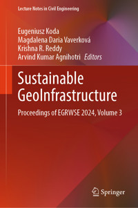 Sustainable GeoInfrastructure -  - E-Book
