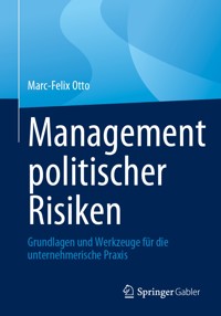Management politischer Risiken - Marc-Felix Otto - E-Book