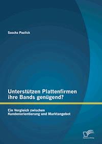 Unterstützen Plattenfirmen ihre Bands genügend? Ein Vergleich zwischen Kundenorientierung und Marktangebot - Sascha Paulick - E-Book