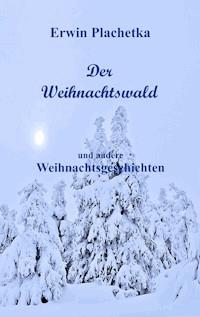 Der Weihnachtswald - Erwin Plachetka - E-Book