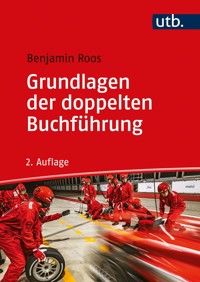 Grundlagen der doppelten Buchführung - Benjamin Roos - E-Book