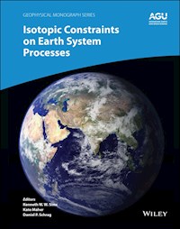 Isotopic Constraints on Earth System Processes - Kenneth W. Sims - E-Book