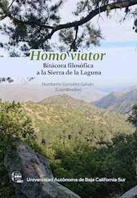 Homo viator - Humberto González Galván - E-Book