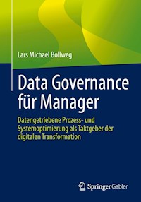 Data Governance für Manager - Lars Michael Bollweg - E-Book