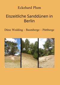 Eiszeitliche Sanddünen in Berlin - Eckehard Plum - E-Book