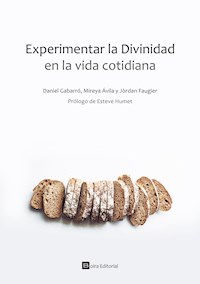 Experimentar la Divinidad en la vida cotidiana - Daniel Gabarró - E-Book