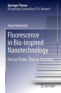 Fluorescence in Bio-inspired Nanotechnology - Jonas Hannestad - E-Book
