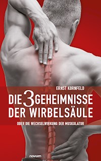 Die 3 Geheimnisse der Wirbelsäule - Ernst Kornfeld - E-Book