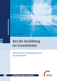 Von der Ausbildung ins Erwerbsleben - Patrick Richter - kostenlos E-Book