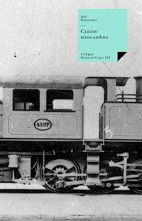 Camino trans-andino - José Hernández - E-Book