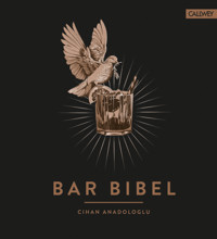 Bar Bibel - Cihan Anadologlu - E-Book