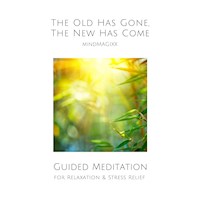 Guided Meditation for Relaxation & Stress Relief - Patrick Lynen - Hörbuch