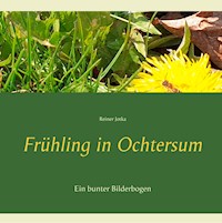 Frühling in Ochtersum - Reiner Jotka - E-Book