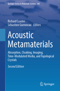 Acoustic Metamaterials -  - E-Book