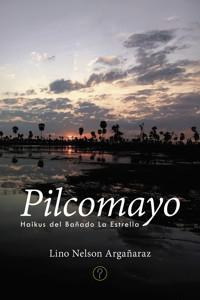 Pilcomayo - Lino Nelson Argañaraz - E-Book