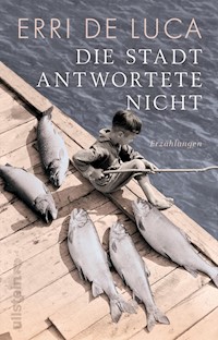 Die Stadt antwortete nicht - Erri De Luca - E-Book