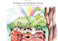 So hoch, wie die Rakete fliegt! - Benny Braun - E-Book