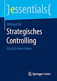 Strategisches Controlling - Willibald Erk - E-Book
