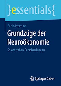 Grundzüge der Neuroökonomie - Pablo Peyrolón - E-Book