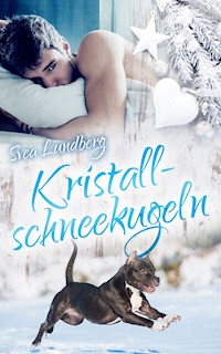 Kristallschneekugeln - Svea Lundberg - E-Book