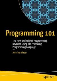 Programming 101 - Jeanine Meyer - E-Book