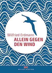 Allein gegen den Wind - Wilfried Erdmann - E-Book
