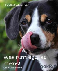 Was rumliegt, ist meins! - Christine Futter - E-Book