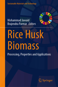Rice Husk Biomass -  - E-Book
