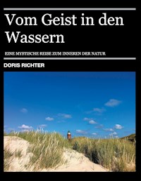 Vom Geist in den Wassern - Doris Richter - E-Book