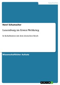 Luxemburg im Ersten Weltkrieg - Henri Schumacher - E-Book