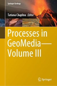 Processes in GeoMedia—Volume III -  - E-Book