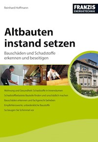 Altbauten instand setzen - Reinhard Hoffmann - E-Book