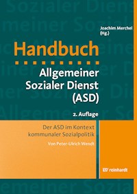 Der ASD im Kontext kommunaler Sozialpolitik - Peter-Ulrich Wendt - E-Book