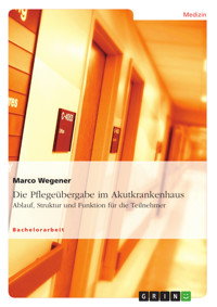 Die Pflegeübergabe im Akutkrankenhaus - Marco Wegener - E-Book