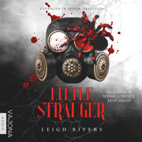 Little Stranger - Leigh Rivers - Hörbuch
