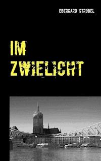 Im Zwielicht - Eberhard Strobel - E-Book