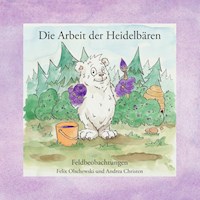 Die Arbeit der Heidelbären - Felix Olschewski - E-Book