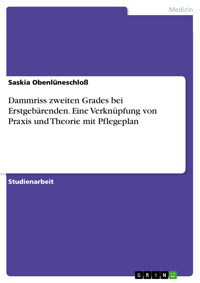 Dammriss zweiten Grades bei Erstgebärenden. Eine Verknüpfung von Praxis und Theorie mit Pflegeplan - Saskia Obenlüneschloß - E-Book