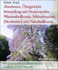 Abnehmen, Übergewicht Behandlung mit Homöopathie, Pflanzenheilkunde, Schüsslersalzen (Biochemie) und Naturheilkunde - Robert Kopf - E-Book