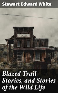 Blazed Trail Stories, and Stories of the Wild Life - Stewart Edward White - E-Book