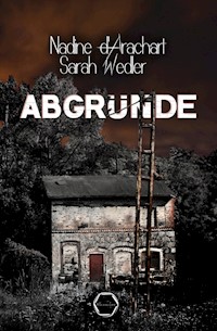 Abgründe - Nadine D'arachart - E-Book