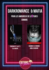 Dark romance et mafia - Lili Haven - E-Book