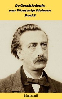 De Geschiedenis van Woutertje Pieterse - Deel 2 - Multatuli - E-Book