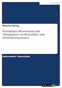 Performance-Measurement und -Management von Kennzahlen- und Informationssystemen - Maurice Syring - E-Book