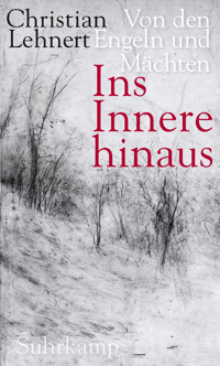 Ins Innere hinaus - Christian Lehnert - E-Book