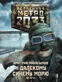 Метро 2033: К далекому синему морю - Дмитрий Манасыпов - E-Book