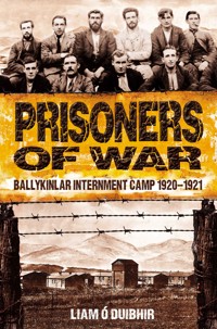 Prisoners of War: Ballykinlar, An Irish Internment Camp 1920-1921 - Liam Ó Duibhir - E-Book