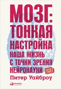 Мозг: Тонкая настройка. Наша жизнь с точки зрения нейронауки - Питер Уайброу - E-Book