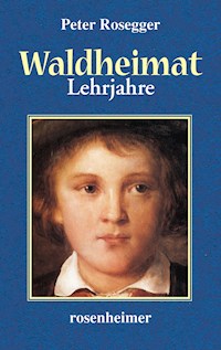 Waldheimat - Lehrjahre - Peter Rosegger - E-Book